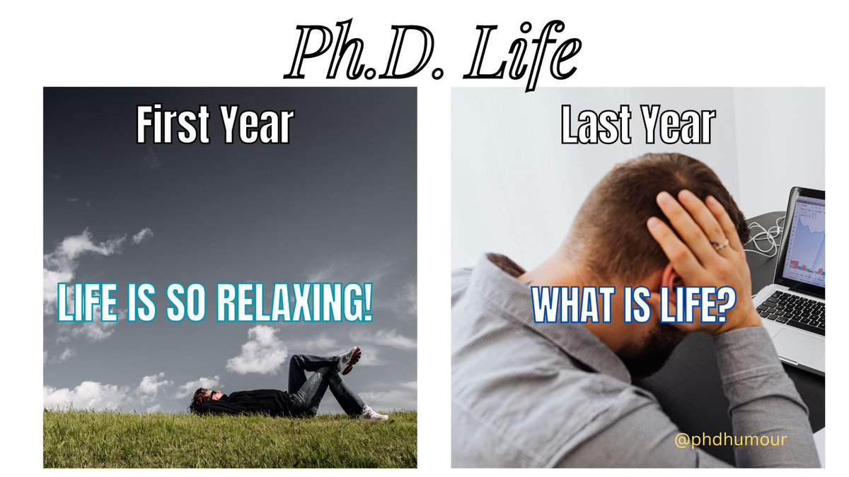 #phdlife #AcademicChatter #academia