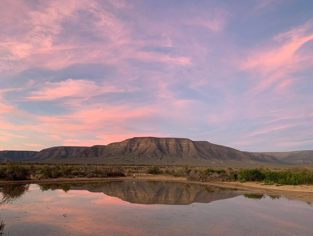 SANParks's tweet photo. Views.
__
📸Tanja Naude📍#TankwaKarooNationalPark #LiveYourwild #SANParks #Karoo #Tankwa #wildlife #wildlifephotography https://t.co/nrMuQbcgUr