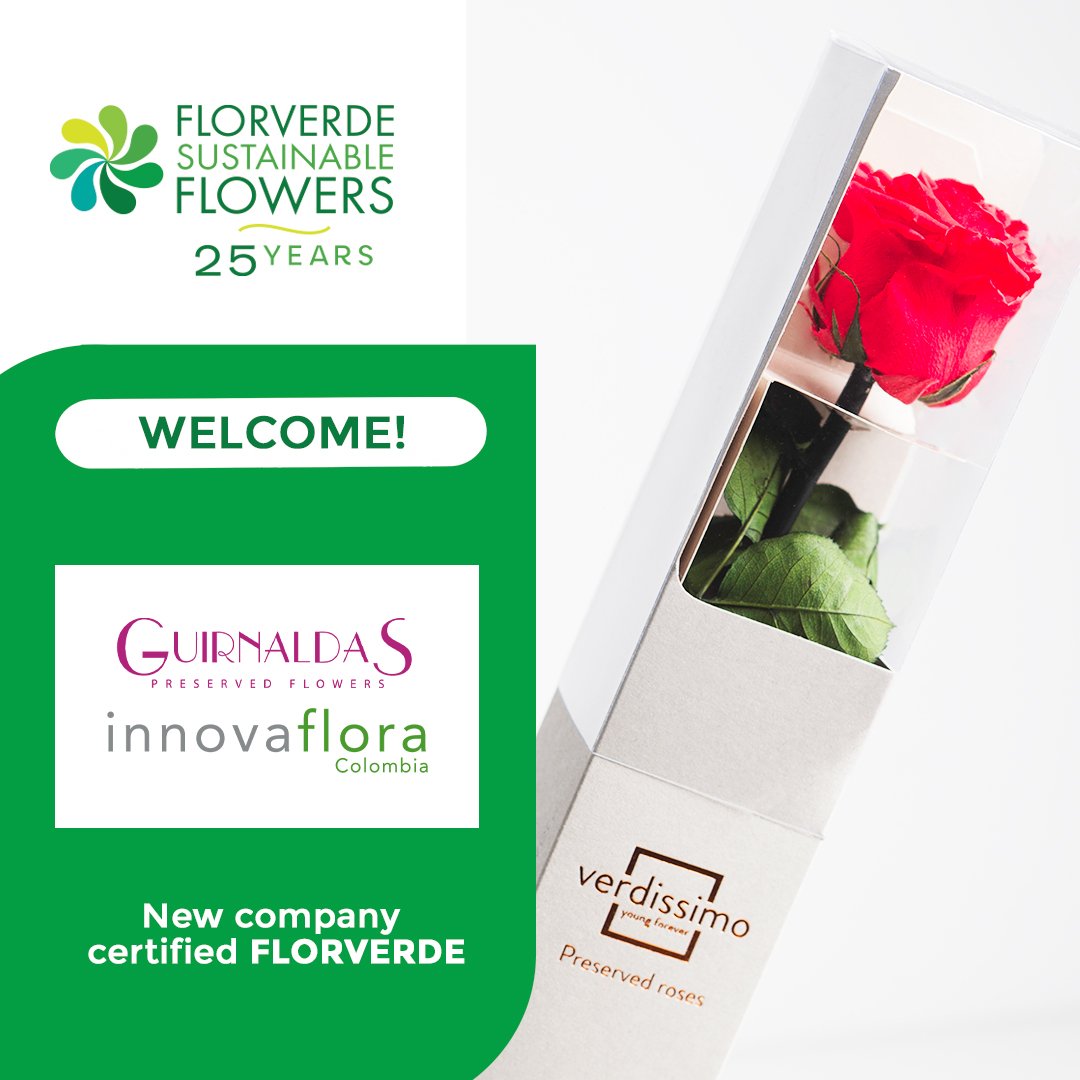 Florverde® tweet media