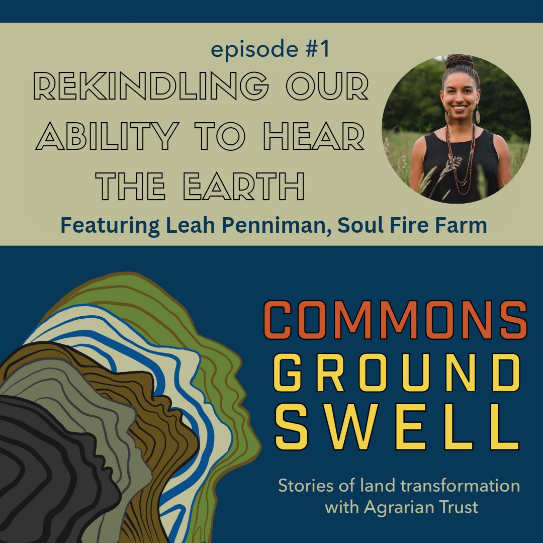 📣 The first episode of Commons Groundswell releases TODAY with guest Leah Penniman of Soul Fire farm! 📣

Listen now at AgrarianTrust.org, on Spotify, or on Apple podcasts!
 agrariantrust.org/commons-ground…

 <a href="/soulfirefarm/">Soul Fire Farm</a> #commonsgroundswell #farmingwhileblack #blackearthwisdom