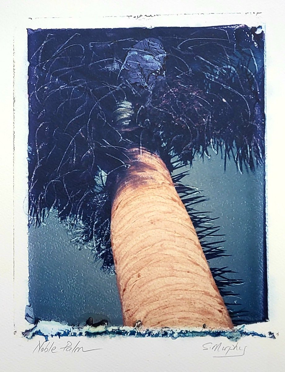 CryptoK37364015's tweet image. Gm Frens
LF 8x10 #PolaroidImageTransfer
Noble Palm 1/1
This print was enhanced with a variety of tools while the emulsion was drying.
👇Details👇
#LegacyPolaroids #Polaroid  #tezos #TezosNFTs #tezosart #CleanNFTs #objktone @objktone #PrintsonPaper #LargeFormat #tezos