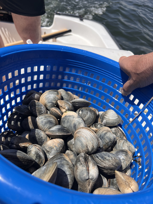 OUTDChannel's tweet photo. If you love New England Chowder, you've won't want to miss this cooking experience with Mike on an ALL NEW Fishing The Wild, Monday at 7 PM ET. Recipe in gallery.
#FindYourAdventure #cooking #fishing #bass #stripedbass #clam #newenglandchowder #wildgamecooking #fishrecipe https://t.co/8mYe8K1WzM
