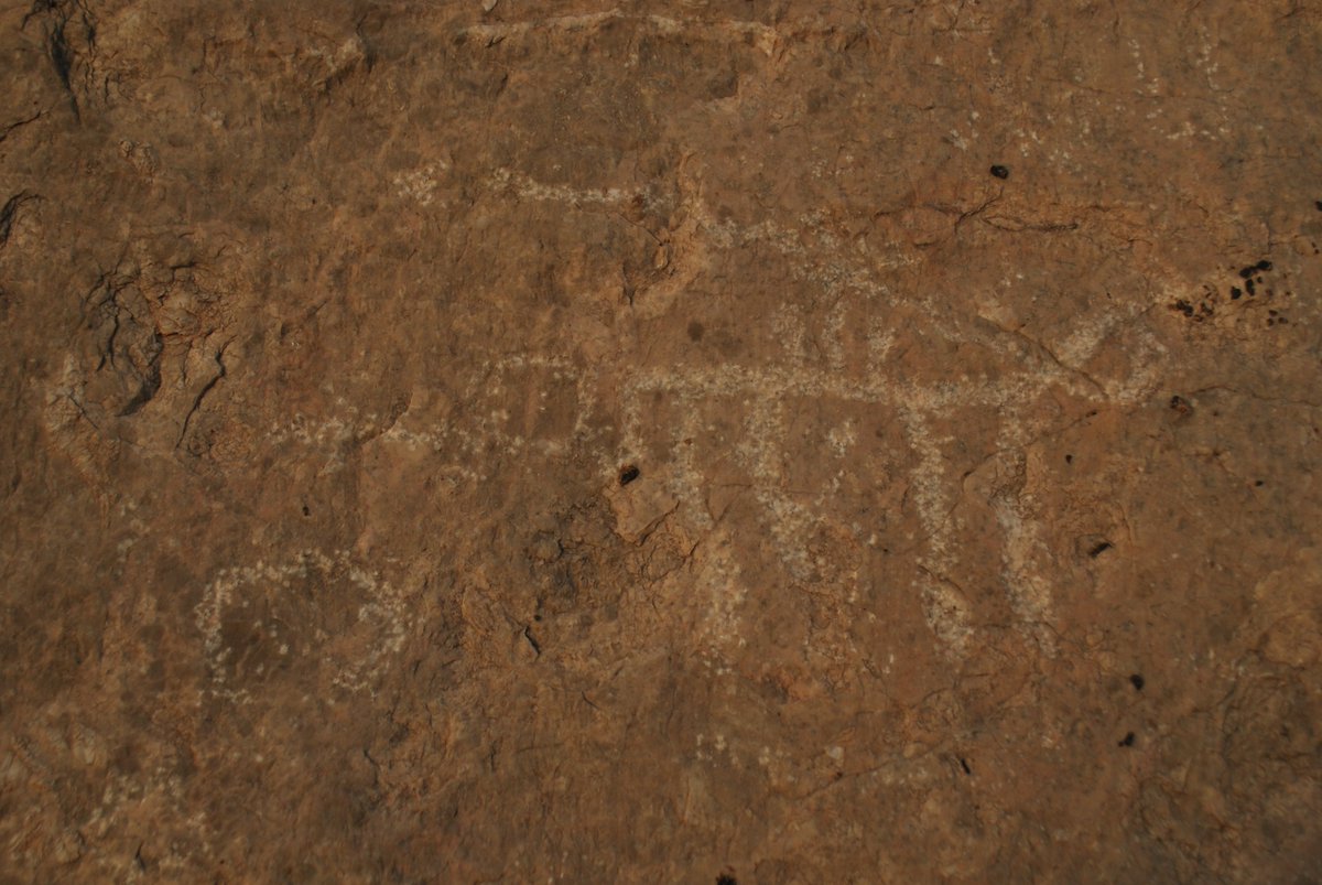 Archaeo_Oman's tweet image. The new field season has begun! This year we will explore the rock art of the Al-Mudhaybi area, starting with a beautiful white rock near Al-Khashbah.
#Oman #BeautyHasAnAddress #beautifuloman #ExperienceOman #OmanByYou