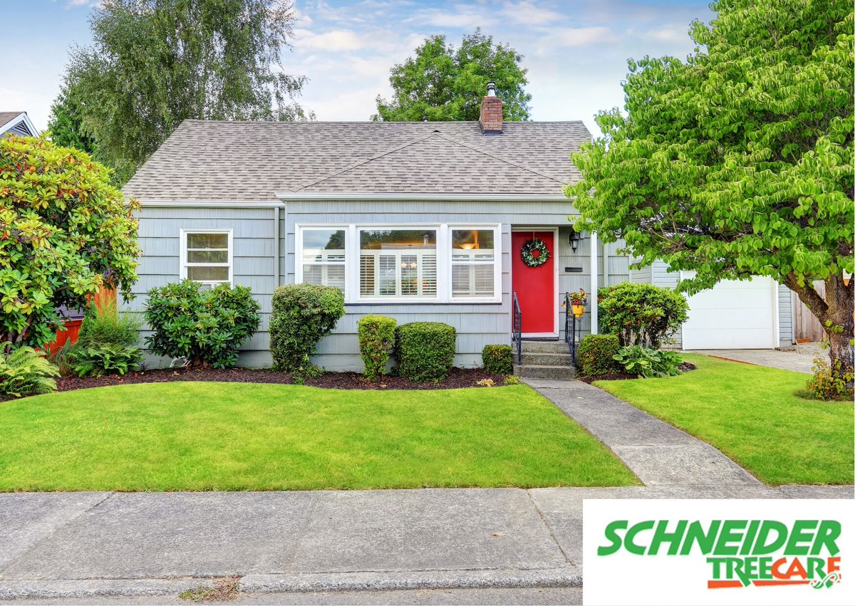 Whether the trees in your yard need a touch-up or some serious TLC,  Schneider Tree Care is the right choice for you! We have more than 25 years of experience providing safe, professional tree and shrub services. Call 864-664-2025. #SchneiderTreeCare #ResidentialTreeService