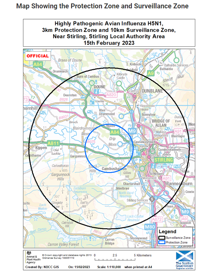 Stirling Council on Twitter "Avian Influenza update If you live in
