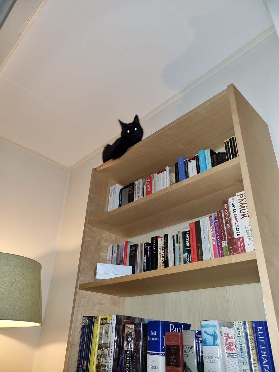 therootsthatclu's tweet photo. The power of Poe

#Poetoaster #poets #poetsofTwitter #CatsOfTwitter #cats #EdgarAllanPoe https://t.co/Br5s4qPr84