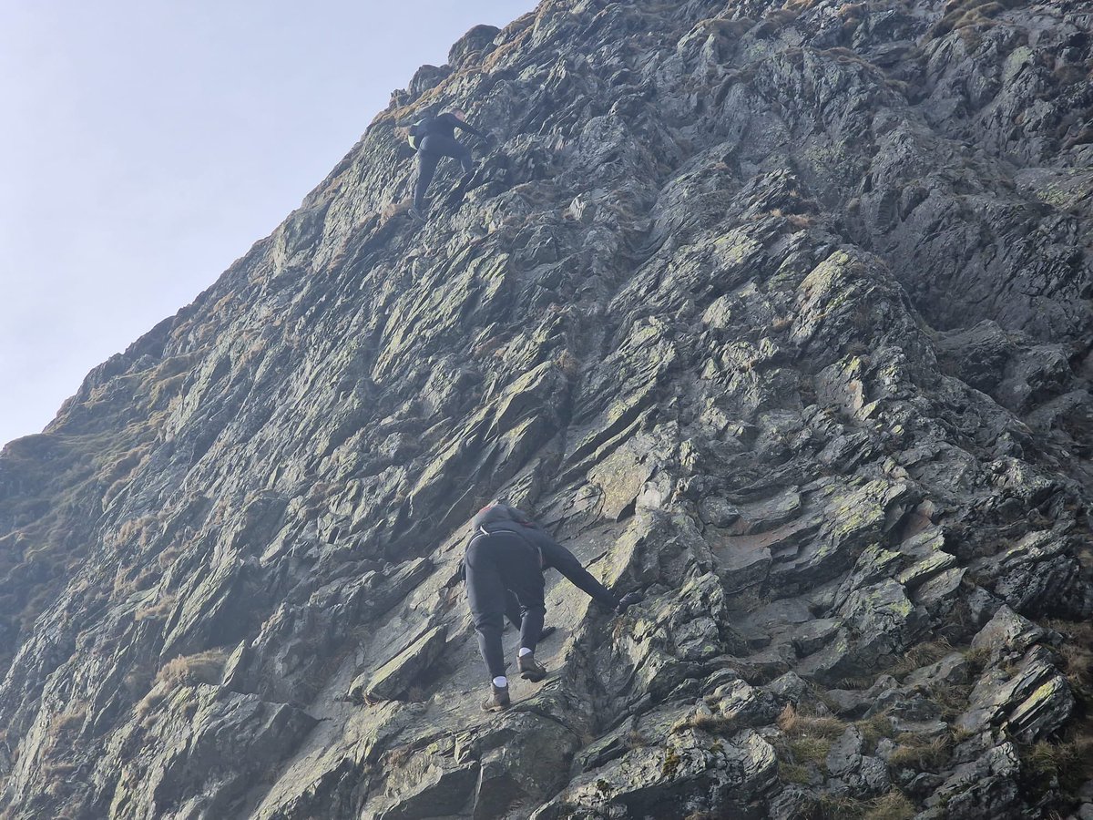 Adam Marron tweet media