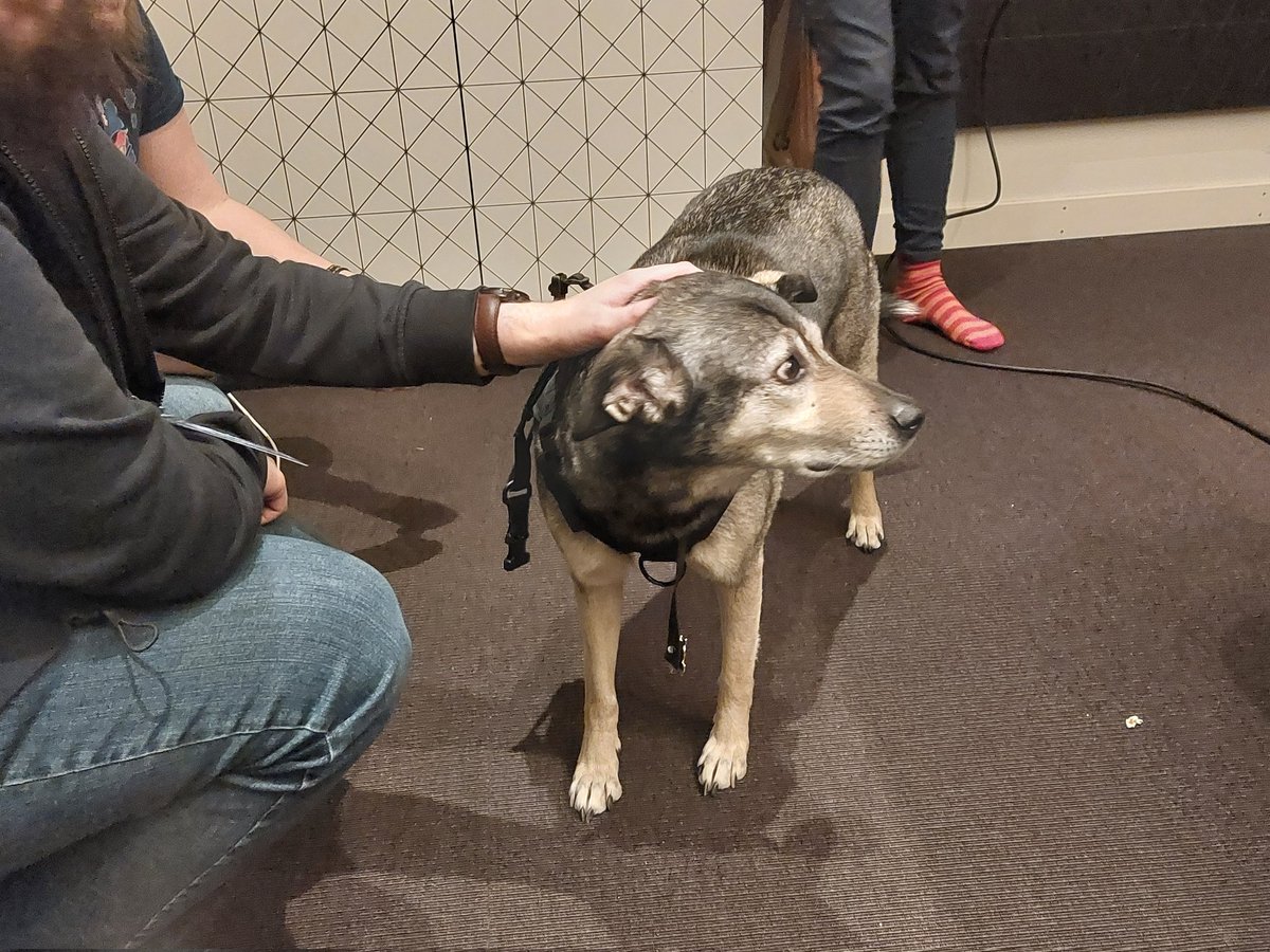 Yes, you can pet the dog at <a href="/esamarathon/">ESA Speedrunning Events</a>