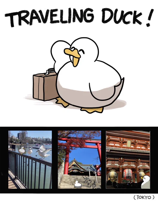 The ducks are traveling to your town! 

Send me a photo!🦆 