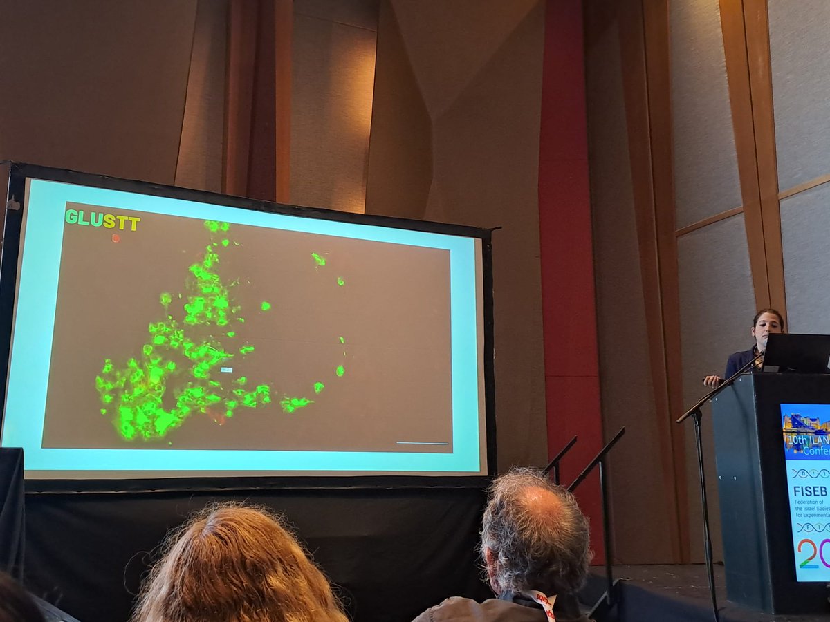 ron piran tweet media