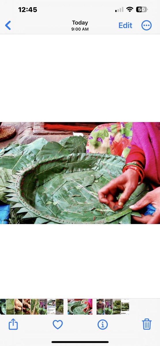 jyotirgamoy's tweet photo. In many Nepali street corners, you will see freshly made multipurpose #leafplates made from sal tree leaves (shorea robusta).They are in high demand - #eco-friendly #biodegradable product. #tasteofnepal #foodsandflavorsfromnepal https://t.co/znN7ByloFM