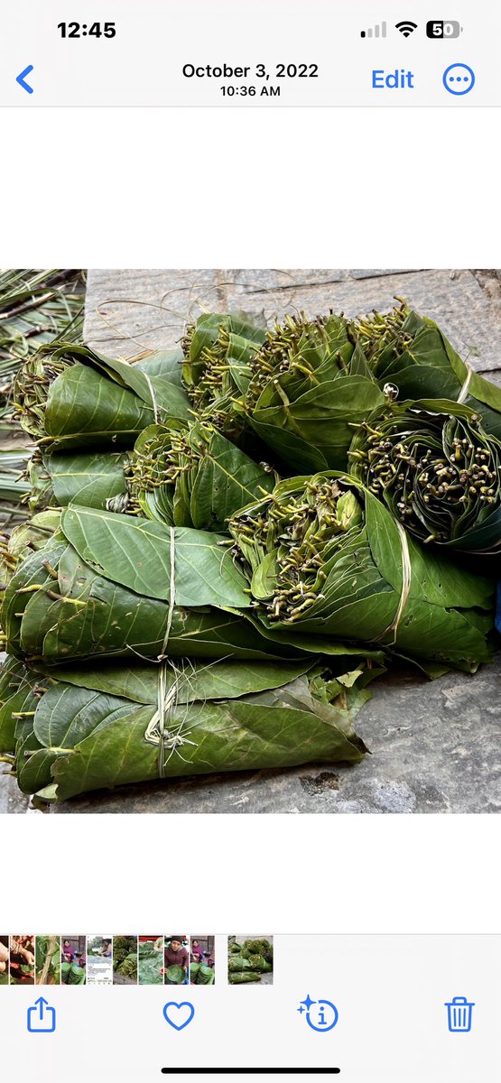 jyotirgamoy's tweet photo. In many Nepali street corners, you will see freshly made multipurpose #leafplates made from sal tree leaves (shorea robusta).They are in high demand - #eco-friendly #biodegradable product. #tasteofnepal #foodsandflavorsfromnepal https://t.co/znN7ByloFM