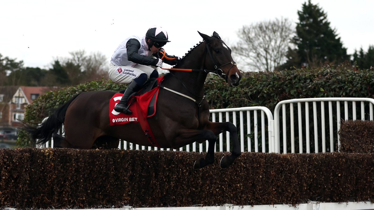 Road To Cheltenham tweet media