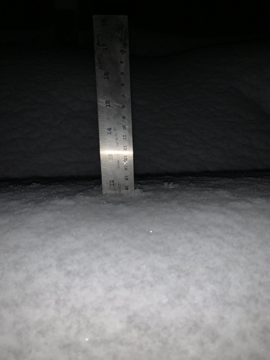 Ellen Wilde tweet media