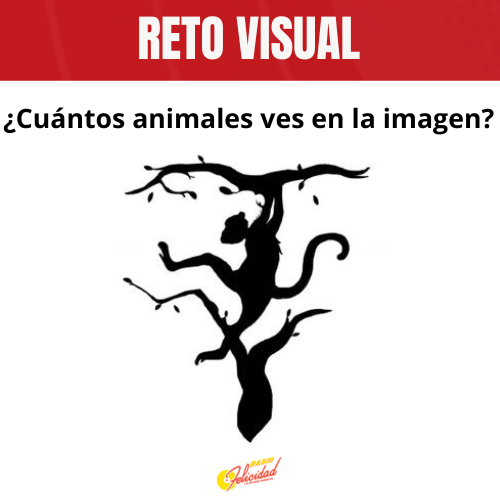 radiofelicidad's tweet photo. #RetoVisual👀| Presta mucha atención a la imagen tienes que resolverla en menos de 15 segundos. 👇 https://t.co/6BkIOE1Yw7