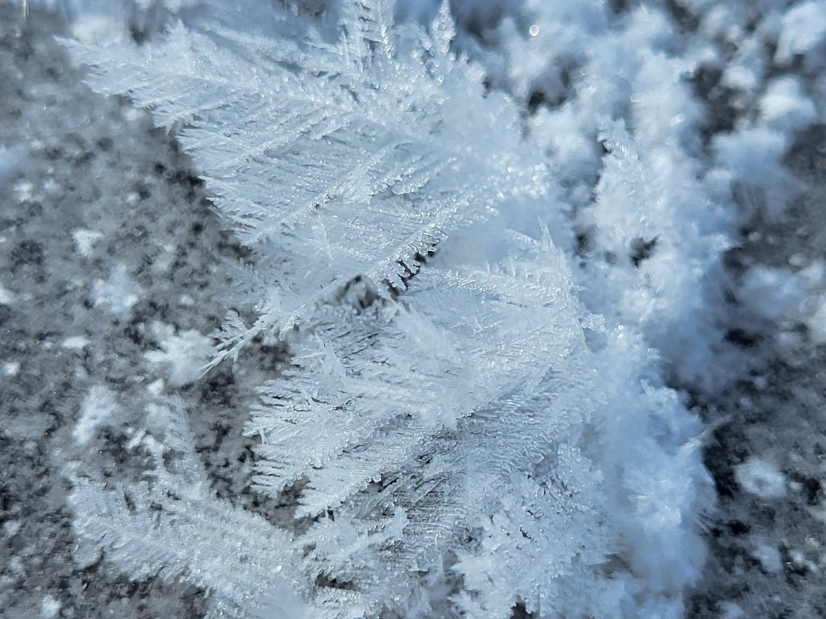tcookmedia's tweet image. Another great hoar frost morning, this time in Lyons #Colorado
Also a cool view of the inversion over Boulder as seen from Longmont
 #cowx  @NWSBoulder #recordcold