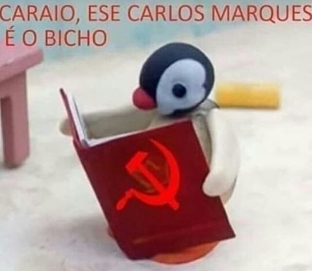 studyrzz's tweet image. eu quando li o capital pela primeira vez :