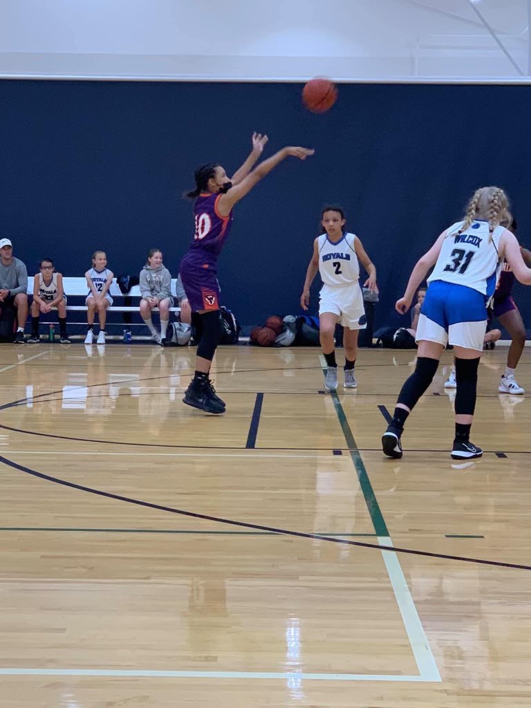 Lady Phoenix Basketball tweet media