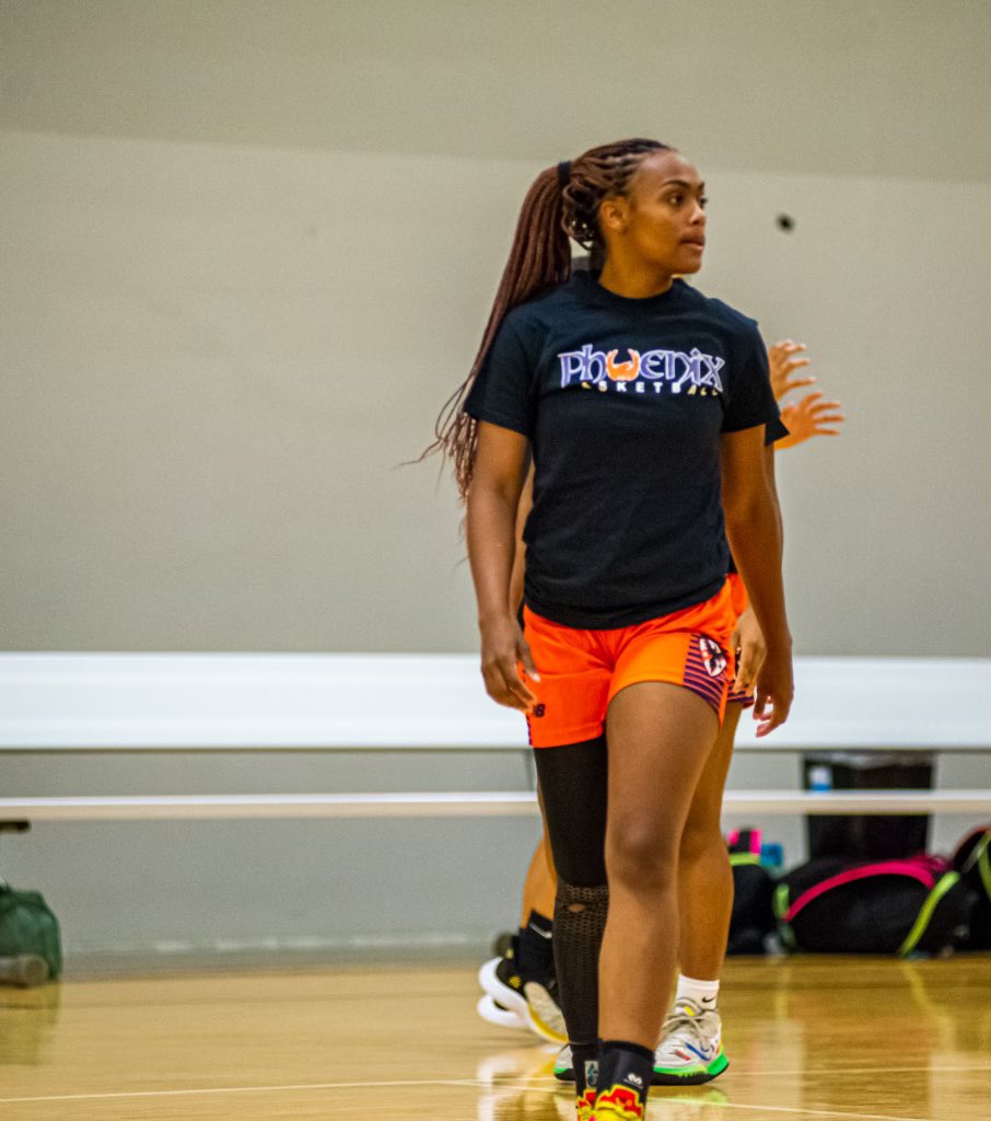 Lady Phoenix Basketball tweet media