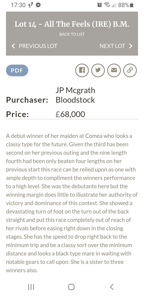 🔴NOEL FEHILY RACING🔴 Thrilled to buy point winner ALL THE FEELS @tattscheltenham. This 5-y-o mare was really impressive on debut & is tremendous value 🏇 Both @ndfehily & I feel she has huge potential. JOIN THE WINNING TEAM 👇 🖱Noel@noelfehilyracing.com ☎️07775 920489