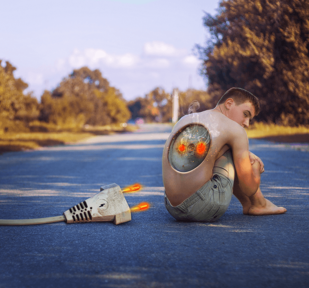 Moby Pie tweet media