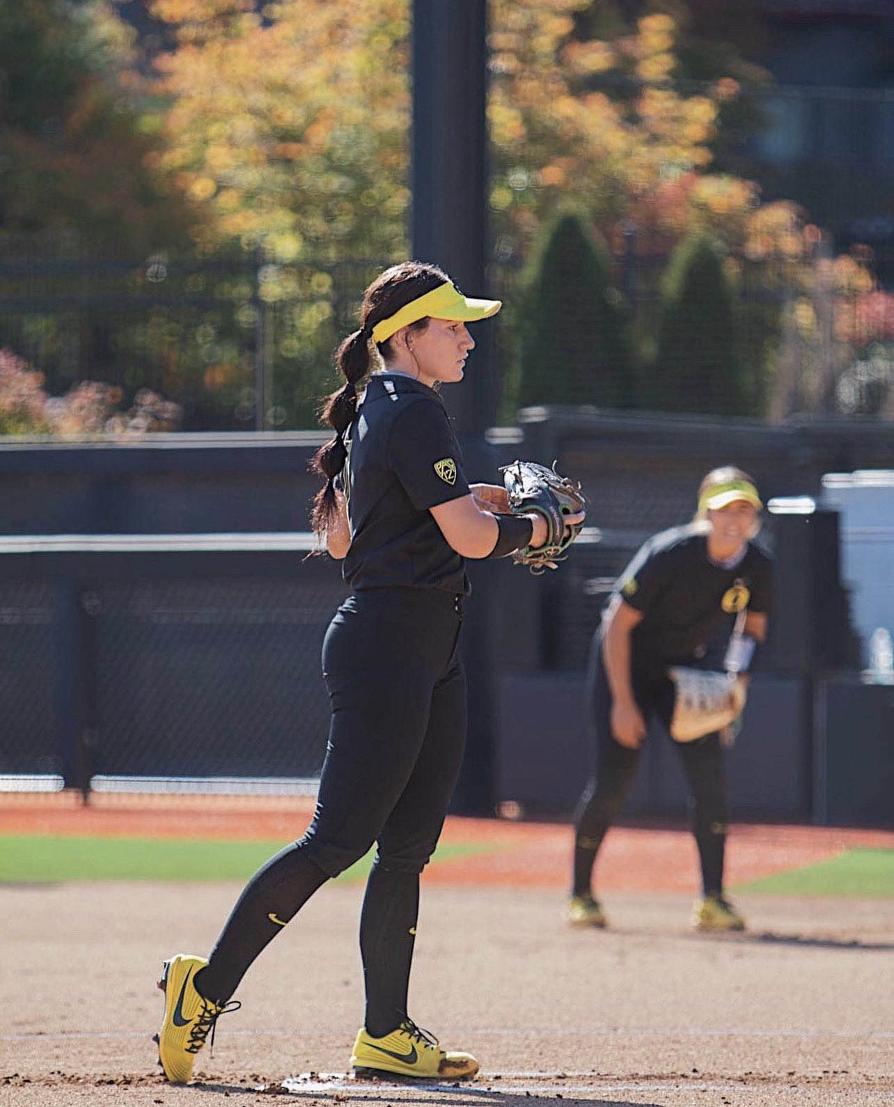 Women's Professional Fastpitch on Twitter "Texas WPF investing in the