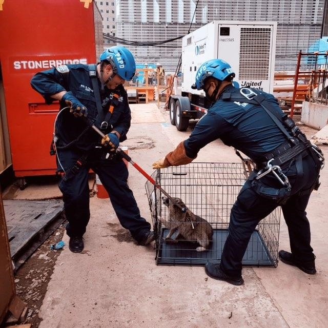 Port Authority of NY & NJ tweet media