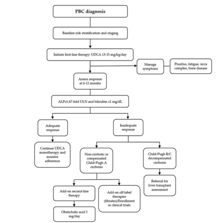📌PBC is a challenging disease, the destruction of bile ducts can ultimately progress to cirrhosis.
💊 UDCA still 🥇-line therapy
❌ ~40% PBC patients ➡️ no responders ➡️ worse prognosis
Biochemical response to UDCA after 1 year ➡️ inadequate response?➡️2nd line therapies/RCTs