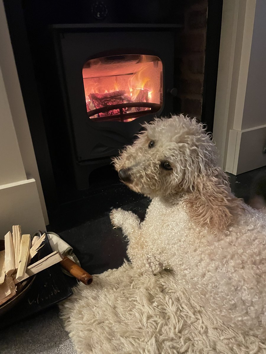 Enjoying the hottest seat in the house