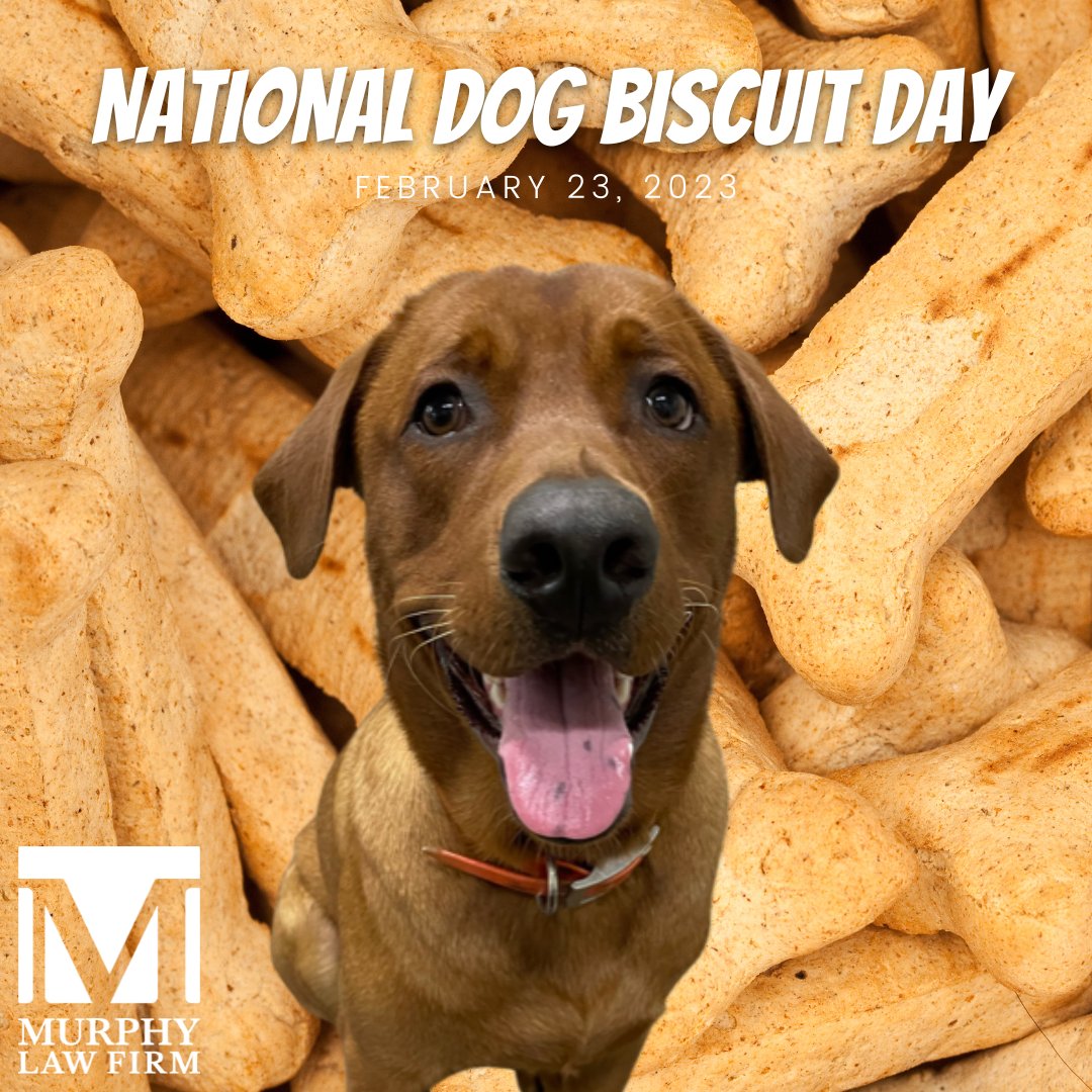 MurphyLawFirmBR's tweet photo. It's Waylon's favorite day, #NationalDogBiscuitDay!🐶🐶

#Officedog #FoxRedLab #FoxRedLabsofInsta #BatonRouge #Louisiana #LawFirm #injuryattorney #TrialAttorney https://t.co/6DSnL4l98M