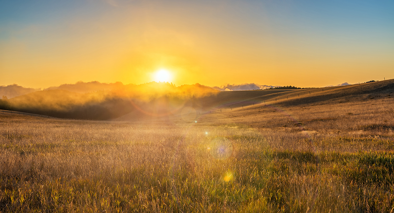 Western Confluence tweet media