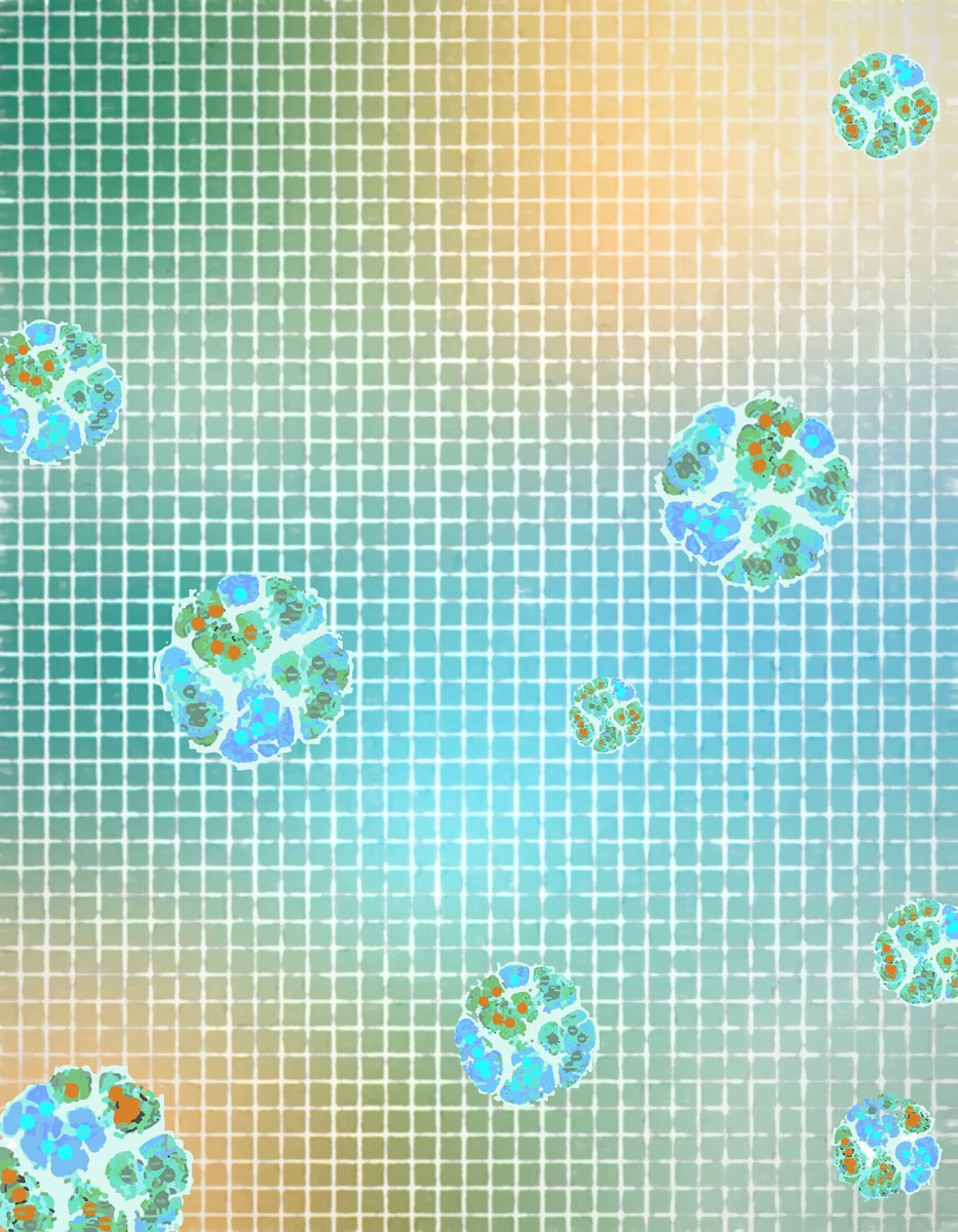 Cancer Discovery (@cd_aacr) on Twitter photo From the February issue—
OncoLoop: A Network-based Precision Cancer Medicine Framework - by <a href="/afpvax/">Alessandro Vasciaveo</a>, <a href="/JM_Arriaga/">Juan Arriaga</a>, Francisca Nunes de Almeida, Andrea Califano, Cory Abate-Shen et al.
bit.ly/3IMN11m
<a href="/columbiacancer/">Herbert Irving Comprehensive Cancer Center</a> <a href="/ColumbiaMed/">Columbia Medicine</a> <a href="/ColumbiaMPT/">Columbia Molecular Pharmacology and Therapeutics</a> From the February issue—
OncoLoop: A Network-based Precision Cancer Medicine Framework - by <a href="/afpvax/">Alessandro Vasciaveo</a>, <a href="/JM_Arriaga/">Juan Arriaga</a>, Francisca Nunes de Almeida, Andrea Califano, Cory Abate-Shen et al.
bit.ly/3IMN11m
<a href="/columbiacancer/">Herbert Irving Comprehensive Cancer Center</a> <a href="/ColumbiaMed/">Columbia Medicine</a> <a href="/ColumbiaMPT/">Columbia Molecular Pharmacology and Therapeutics</a>