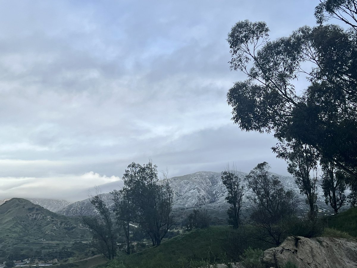 NatashaForHomes's tweet photo. @undrcvrbrothr @Burbankers Yup! Went on a hike this morning behind my house. https://t.co/Rf7atZ43Bu