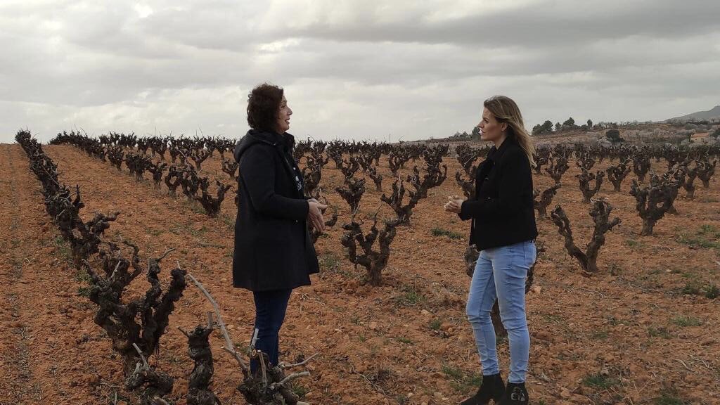 Entrevista con <a href="/andrearopero/">Andrea Ropero</a> <a href="/El_Intermedio/">El Intermedio</a> por los macro proyectos de #eólicas y #fotovoltaicas que se van a instalar en nuestra comarca y cómo nos afectará al territorio.

#RenovablesSíPeroNoAsí