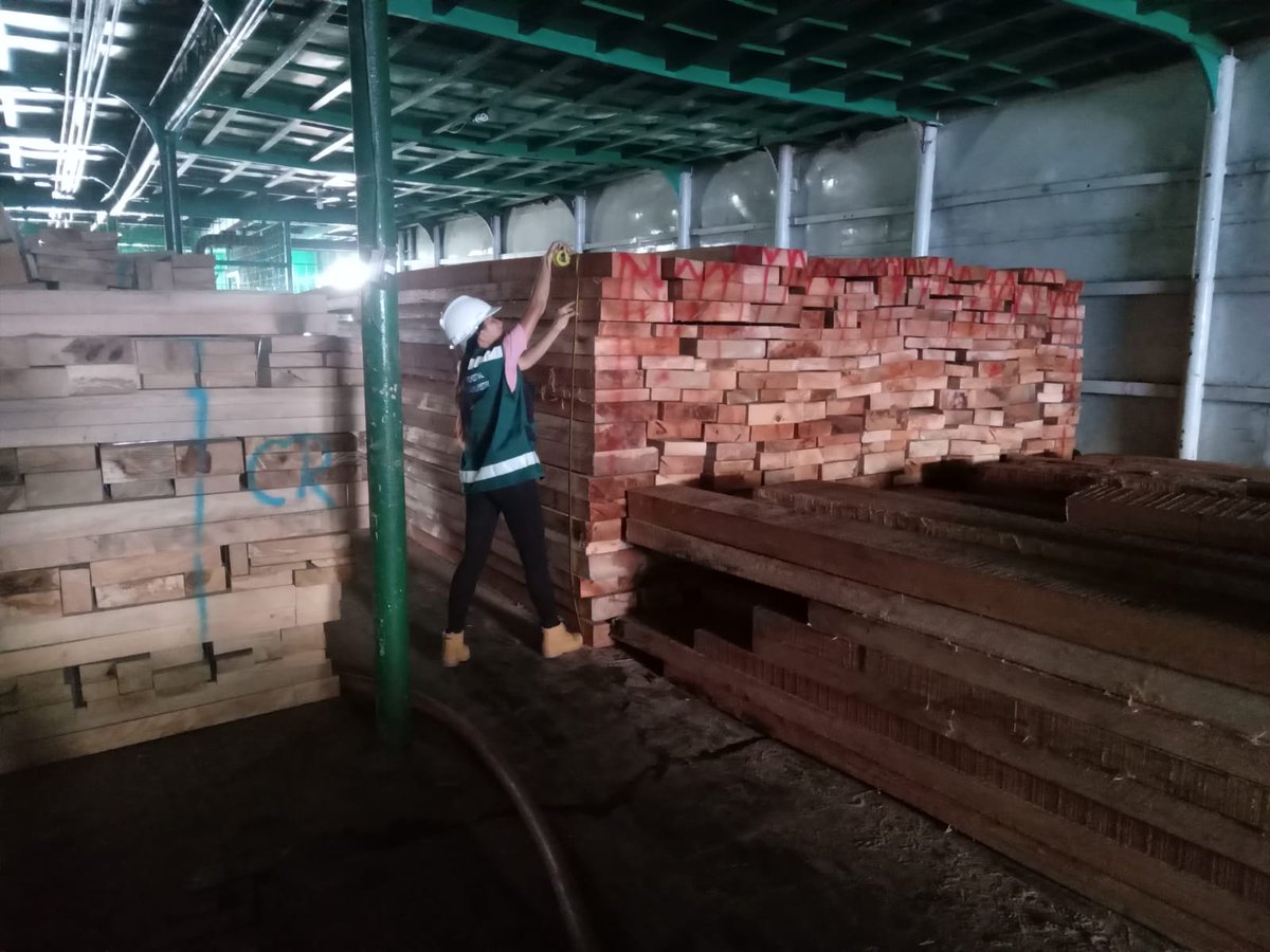 GERFORLoreto's tweet photo. 🔴GERFOR REALIZA INSPECCIONES DE CONTROL EN LA PROVINCIA DE MAYNAS🪵🪵📝
El objetivo es verificar y constatar si el producto forestal maderable se encuentra conforme en cantidad, volumen y especie, acorde como lo indica la Guía de Transporte Forestal - GTF. https://t.co/12Rl3Z3xSr