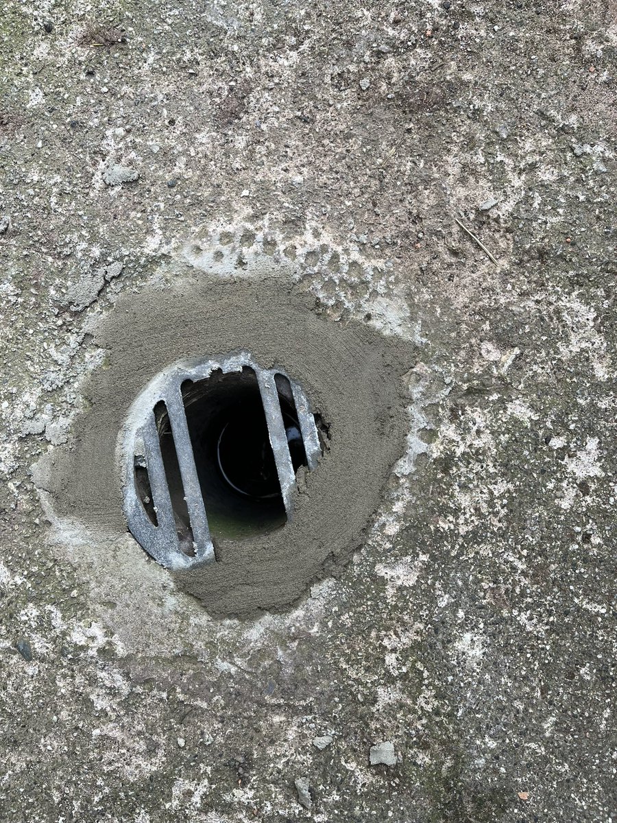 Billy Wood tweet media