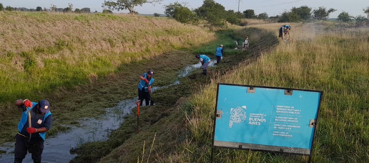 Guille_jelinski's tweet photo. Continúan los operativos de limpieza y mantenimiento en la @BAProvincia. Dimos inicio a los trabajos sobre el arroyo González y la desembocadura del río Samborombón en #Brandsen.

@kicillofok
@Nardini_Leo https://t.co/MZPt3VbLyD