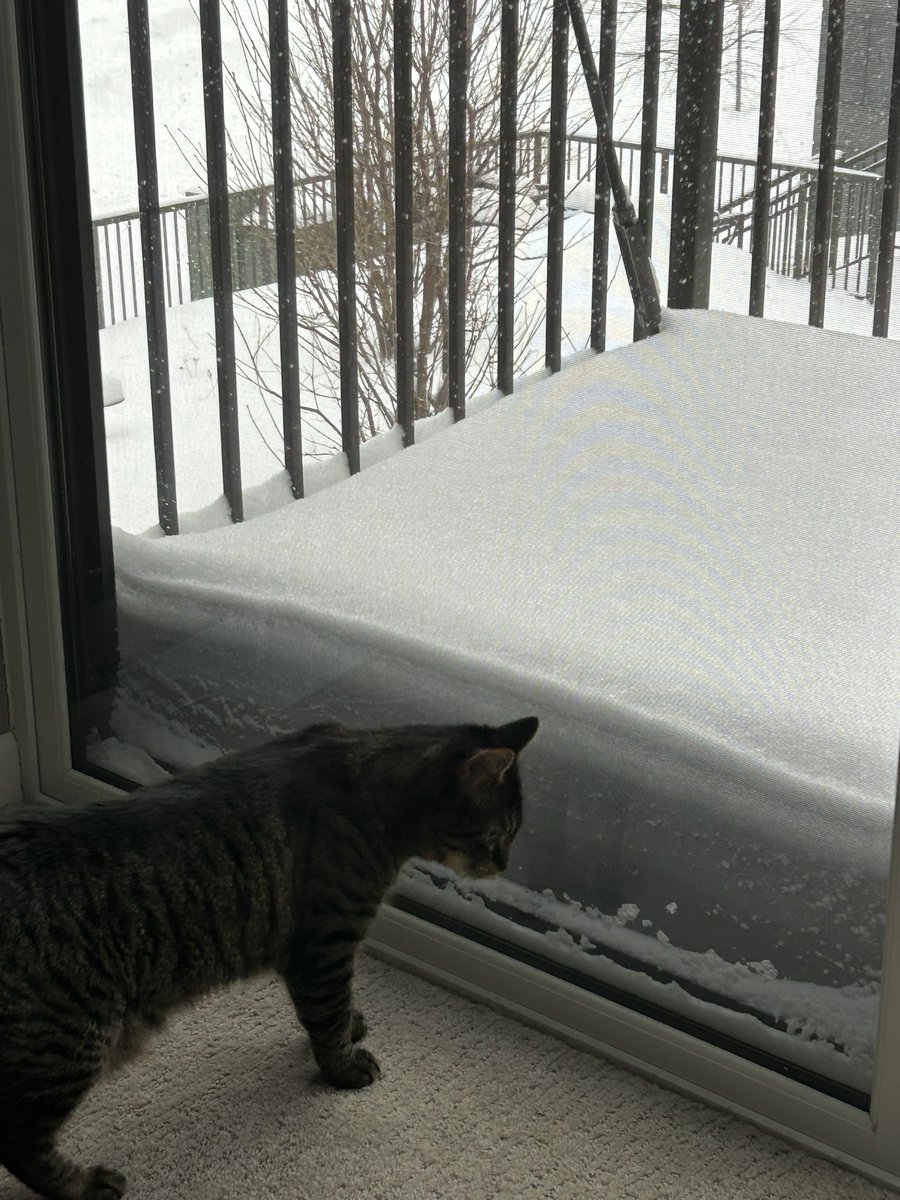 daggerglad's tweet image. Almost got a Slug-height of snow