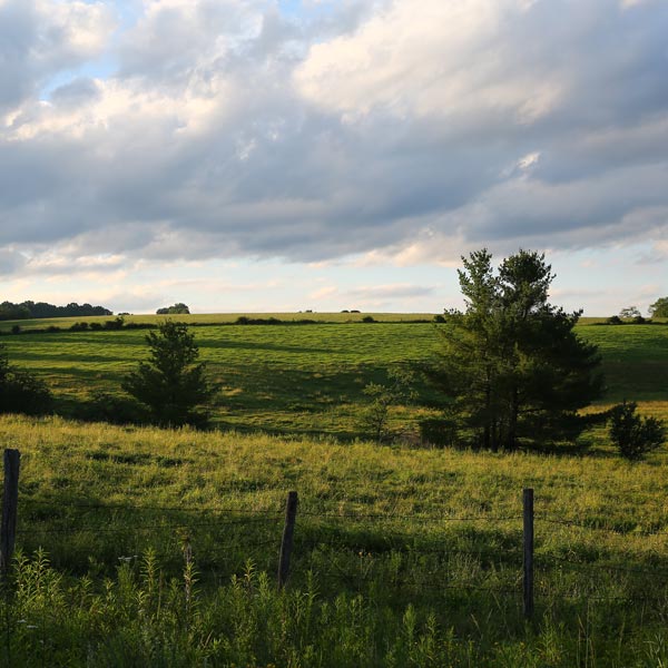 Delaware Highlands Conservancy tweet media