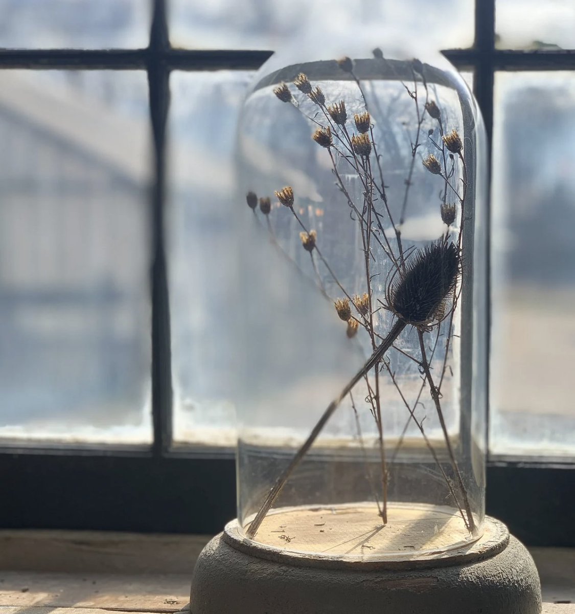vacrum's tweet photo. NEW finds added online! Vintage, antique, and new! Shop online now! - https://t.co/7wtYs2XowD https://t.co/V7QT5Mm5Dm