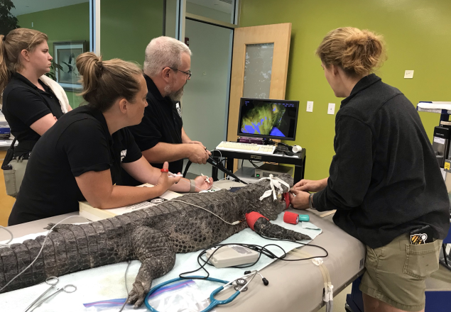 The Zoo's veterinary team provides preventative care, sick patient care, geriatric care, surgeries, and emergency medical attention. Team members are on call 24 hours a day, 365 days a year. Learn more: ow.ly/NuHZ50MZSTT