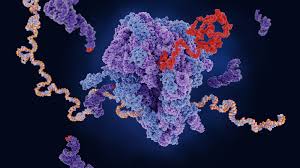 Gene Therapy (@genetherapy_sn) on Twitter photo Trending again is the review article out of <a href="/WitsUniversity/">Wits University</a> exploring self-amplifying #RNAs #vaccine and therapeutic candidates for infectious diseases. Join our #GTReaders here now➡️nature.com/articles/s4143…
📷: ©iStock Trending again is the review article out of <a href="/WitsUniversity/">Wits University</a> exploring self-amplifying #RNAs #vaccine and therapeutic candidates for infectious diseases. Join our #GTReaders here now➡️nature.com/articles/s4143…
📷: ©iStock