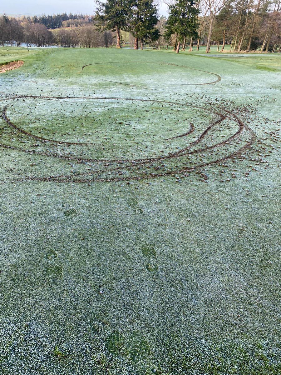 Chris McGhee tweet media