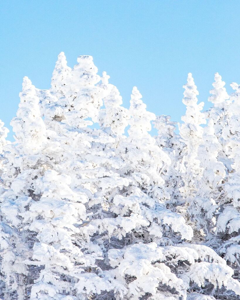 ❄️🌲☀️📷
.
.
.
.
.
.
.
.
.
.
.
#maine #mainewoods #mymaine #my207 #mycanonstory #saddlebackmaine #skimaine #winterinmaine instagr.am/p/CpAaBJXrtjp/