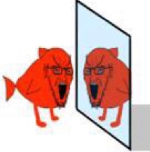 _RealTony__'s tweet photo. If anybody can find me more pictures of this red soy fish wojak you will be rewarded handsomely https://t.co/3IR06Y1Jzt
