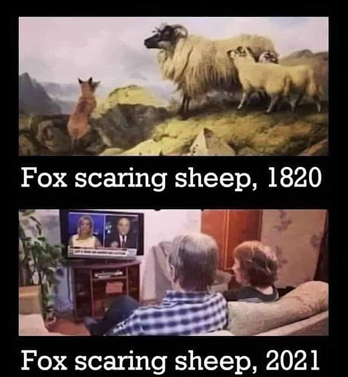 MomWalts's tweet photo. @foxnewspolitics And y'all know that's exactly what needs to happen. You've been exposed for the propaganda outlet that you are. I pray that you go broke and all of your lying anchors go to jail.
#FOXFrauds https://t.co/ey7I30OYfh
