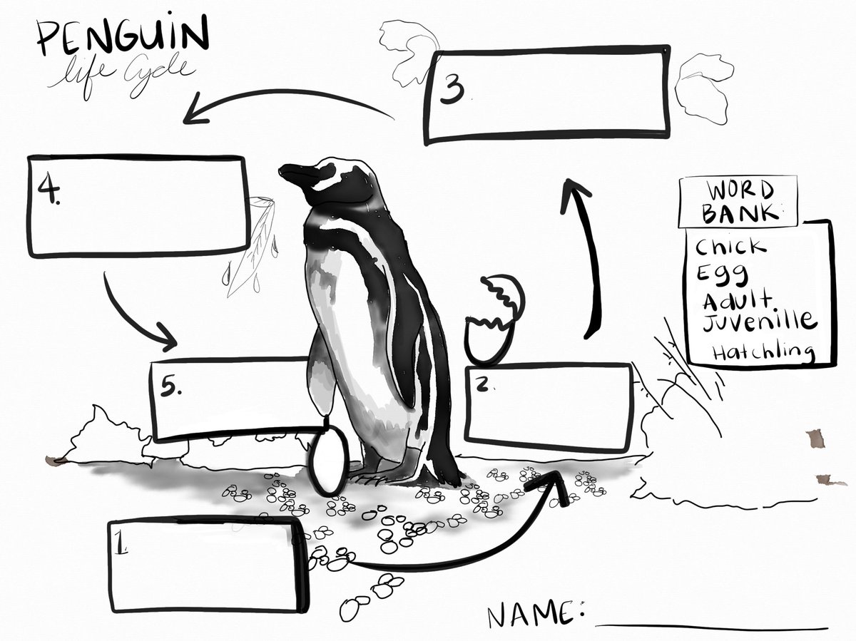 Organisms have unique and diverse life cycles but all have common birth, growth, reproduction, and death. 

#3LS1-1 #ngssscience  #grade3 <a href="/OfficialNGSS/">Next Generation Science Standards</a>