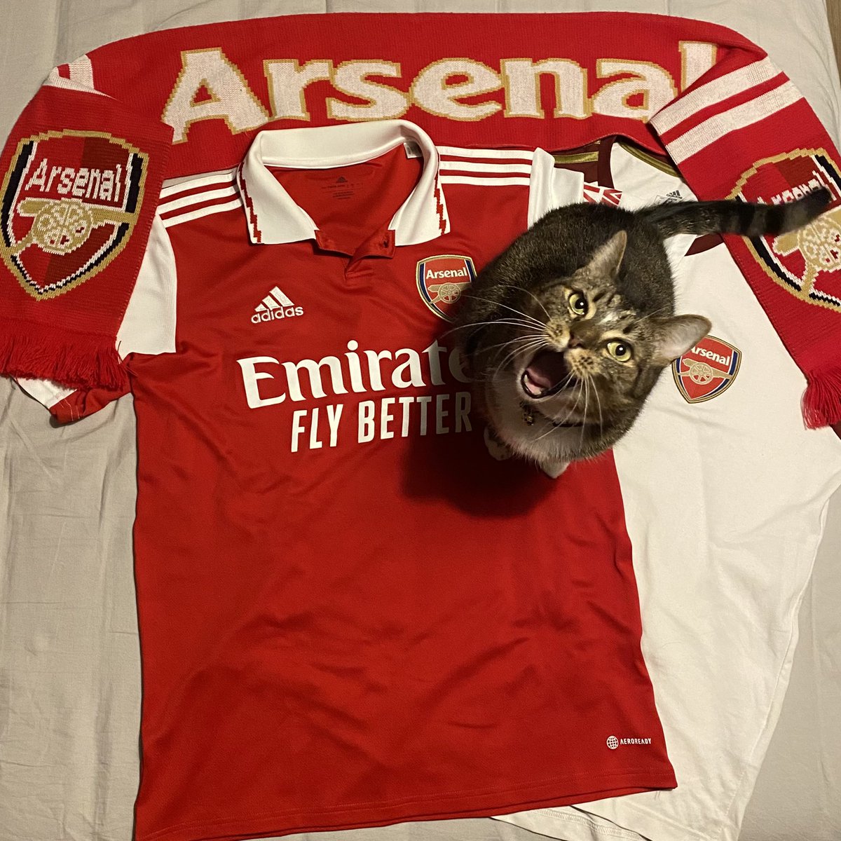 TMachiyama's tweet photo. #MyRewardsStory @Arsenal https://t.co/ZiTS5KDMvh