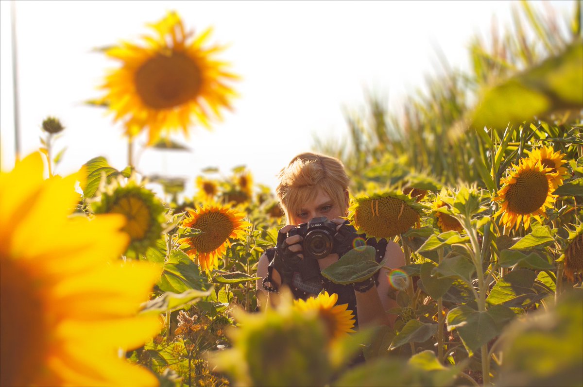 coser_hotaru's tweet photo. Prompto Argentum - Final Fantasy XV 🐥

It was my dream to shoot photos as Prompto in a sunflower field someday...  🌻🧡
Hope this brought some sunshine to your feed! 
#ffxv #prompto https://t.co/kEDRiH2k9g