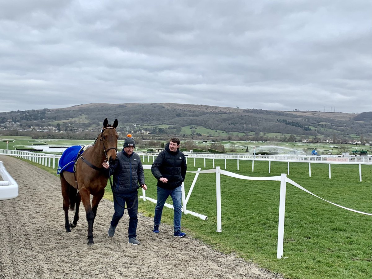 💭 Dreaming of a big win back here at @CheltenhamRaces in years to come… 

📙 Lot 17, BUTCHER HOLLOW, a four-year-old son of Nunstainton Stud’s KINGSTON HILL (GB), leaves the ring after selling to @HamishMacauley / Bryan Cooper for £200,000.

#CheltenhamFebruary